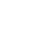 Aviatrix